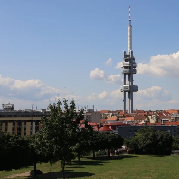 vež paruka